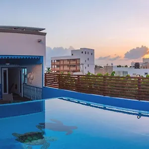 Casa Barco Boutique Kwatera prywatna Isla Mujeres